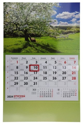 Michalczyk i Prokop Kalendarz ścienny terminarz ścienny 310mm x 482mm Michalczyk i Prokop (T-107S-6)