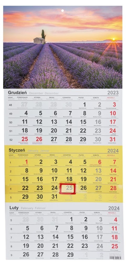 Michalczyk i Prokop Kalendarz ścienny trójdzielny 288mm x 622mm Michalczyk i Prokop (T-106T-06)
