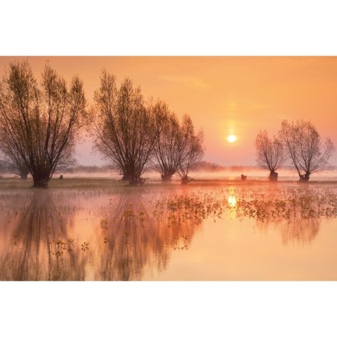 Michalczyk i Prokop Kalendarz ścienny trójdzielny 855mm x 315mm Michalczyk i Prokop (T-105T-06)