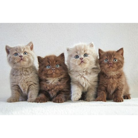 Michalczyk i Prokop Kalendarz ścienny trójdzielny 855mm x 315mm Michalczyk i Prokop (T-105T-10)