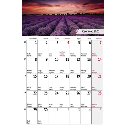 Press Kalendarz biurkowy miesięczny Pejzaże 240mm x 150mm Press (5904830713602)