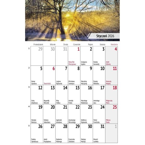 Press Kalendarz biurkowy miesięczny Pejzaże 240mm x 150mm Press (5904830713602)