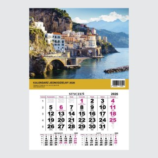 Press Kalendarz ścienny JEDNODZIELNY WIDOK A4 210mm x 295mm Press