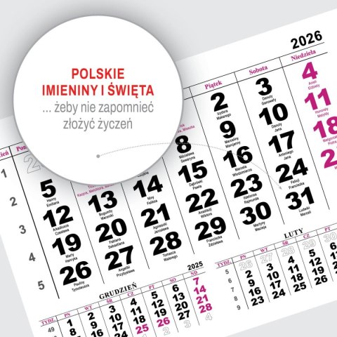 Press Kalendarz ścienny JEDNODZIELNY WIDOK A4 210mm x 295mm Press