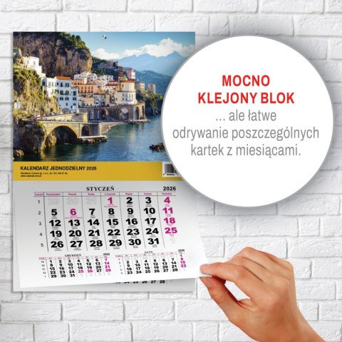 Press Kalendarz ścienny JEDNODZIELNY WIDOK A4 210mm x 295mm Press