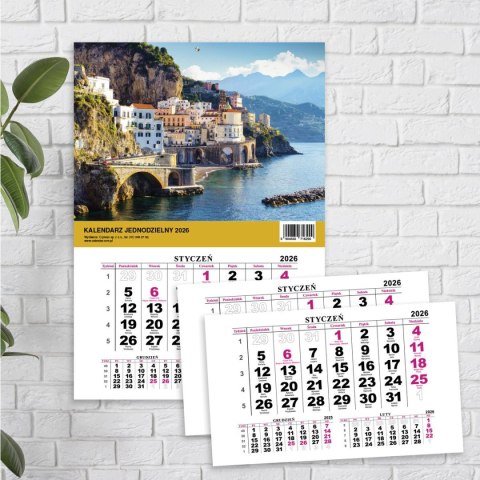 Press Kalendarz ścienny JEDNODZIELNY WIDOK A4 210mm x 295mm Press