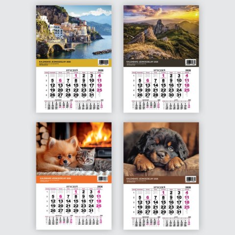 Press Kalendarz ścienny JEDNODZIELNY WIDOK A4 210mm x 295mm Press