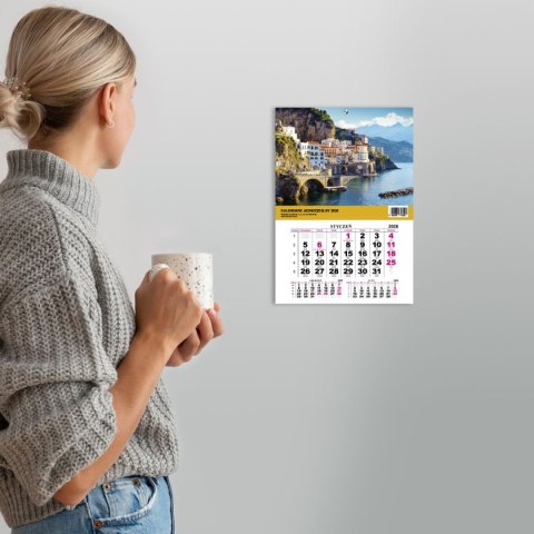 Press Kalendarz ścienny JEDNODZIELNY WIDOK A4 210mm x 295mm Press