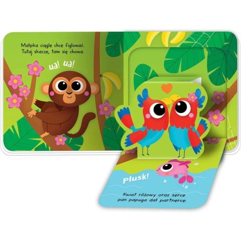 Aksjomat Książka dla dzieci Otwórz okienko! W dżungli. Aksjomat