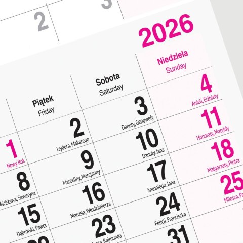 Press Kalendarz ścienny GÓRY 310mm x 790mm Press