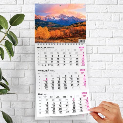 Press Kalendarz ścienny GÓRY 310mm x 790mm Press