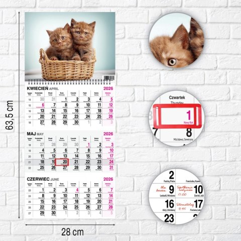 Press Kalendarz ścienny KOT 310mm x 790mm Press