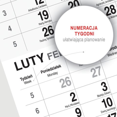 Press Kalendarz ścienny KOT 310mm x 790mm Press