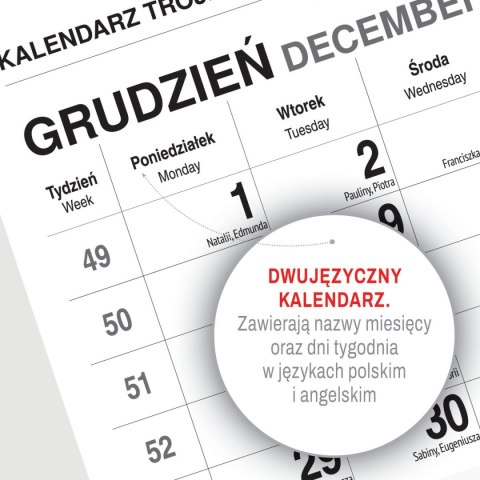 Press Kalendarz ścienny KOT 310mm x 790mm Press