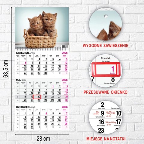 Press Kalendarz ścienny KOT 310mm x 790mm Press