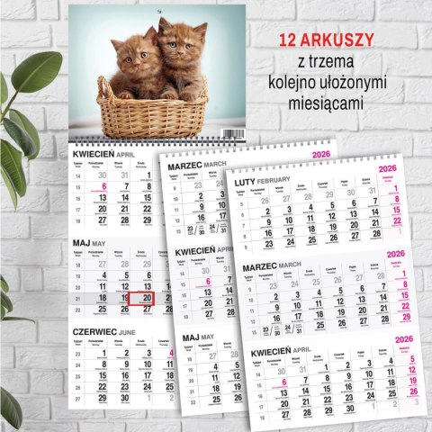 Press Kalendarz ścienny KOT 310mm x 790mm Press