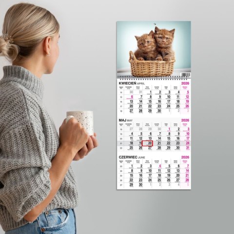 Press Kalendarz ścienny KOT 310mm x 790mm Press