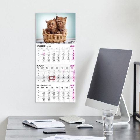 Press Kalendarz ścienny KOT 310mm x 790mm Press
