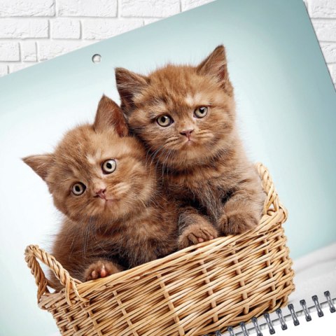 Press Kalendarz ścienny KOT 310mm x 790mm Press