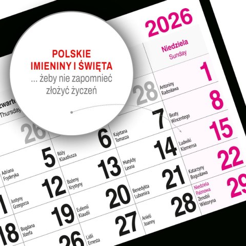 Press Kalendarz ścienny PIES 310mm x 790mm Press