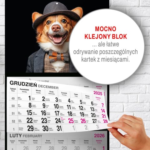 Press Kalendarz ścienny PIES 310mm x 790mm Press