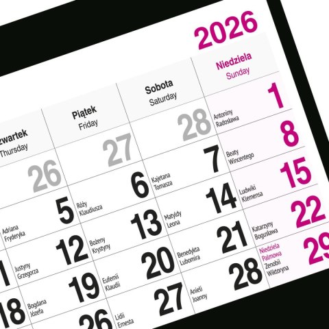 Press Kalendarz ścienny PIES 310mm x 790mm Press