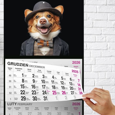 Press Kalendarz ścienny PIES 310mm x 790mm Press