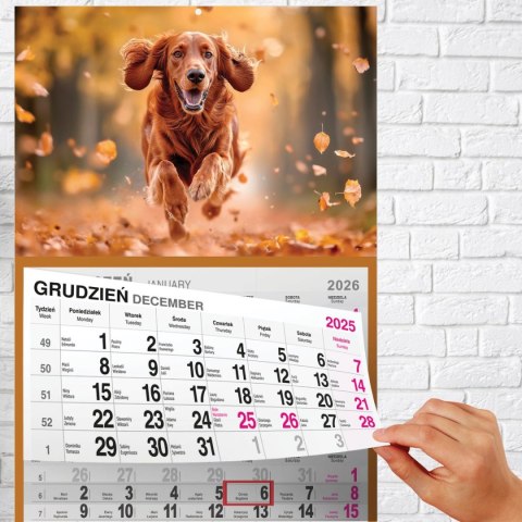 Press Kalendarz ścienny PIES A5 210mm x 450mm Press