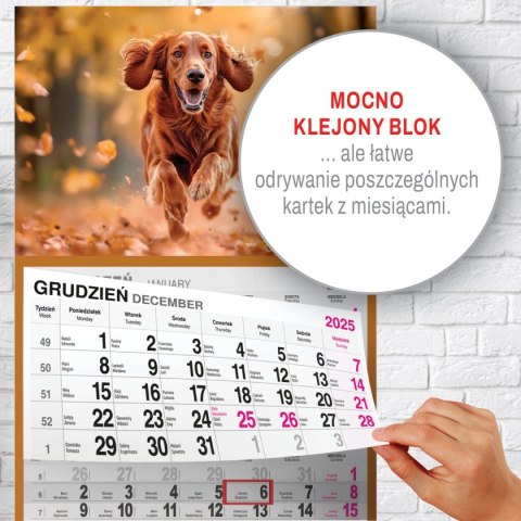 Press Kalendarz ścienny PIES A5 210mm x 450mm Press