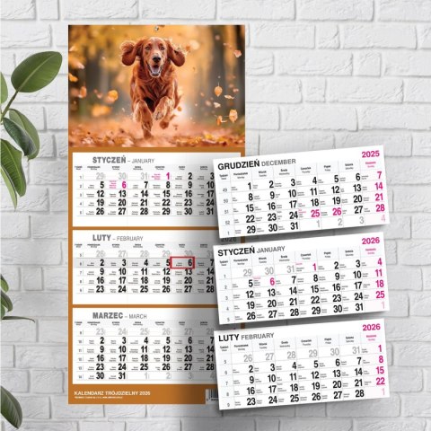 Press Kalendarz ścienny PIES A5 210mm x 450mm Press