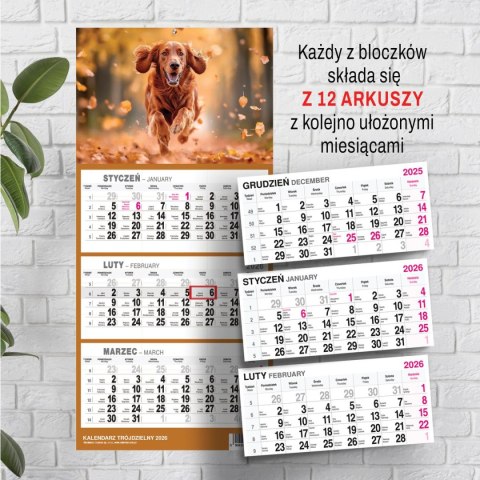 Press Kalendarz ścienny PIES A5 210mm x 450mm Press