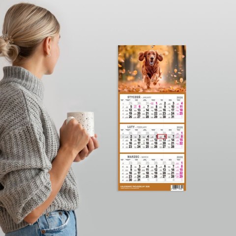 Press Kalendarz ścienny PIES A5 210mm x 450mm Press