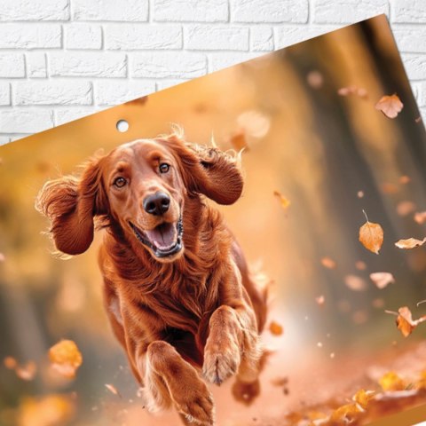 Press Kalendarz ścienny PIES A5 210mm x 450mm Press