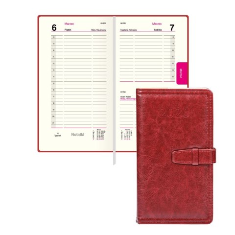 Press Organizer 3/4 B5 ORGANIZER (mix) Press (dzienny)