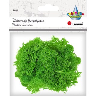 Titanum Dekoracja Craft-Fun Series dekoracja florystyczna mech chrobotek Titanum (2324045 LG)