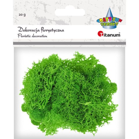 Titanum Dekoracja Craft-Fun Series dekoracja florystyczna mech chrobotek Titanum (2324045 LG)