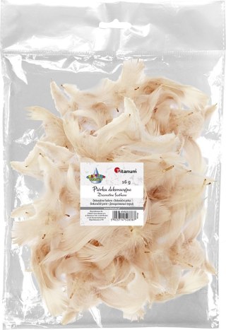 Titanum Piórka Craft-Fun Series beżowy Titanum