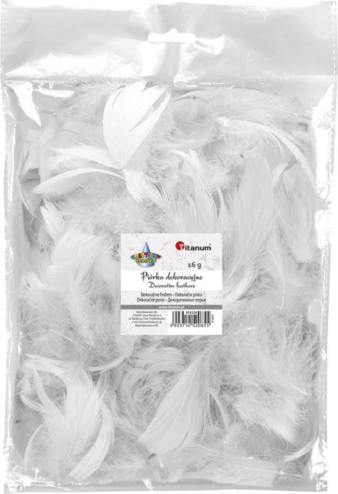 Titanum Piórka Craft-Fun Series białe Titanum