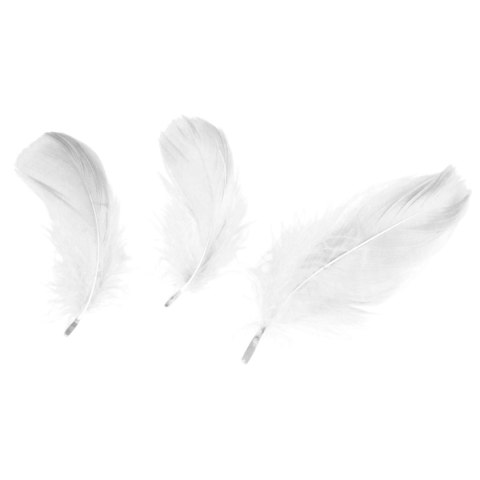 Titanum Piórka Craft-Fun Series białe Titanum