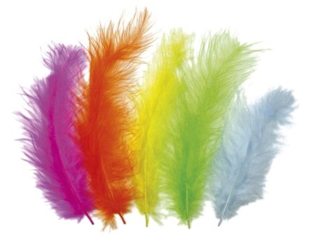 Titanum Piórka Craft-Fun Series jaskrawe kolory mix 25 szt Titanum