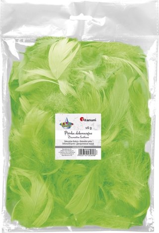 Titanum Piórka Craft-Fun Series limonka Titanum