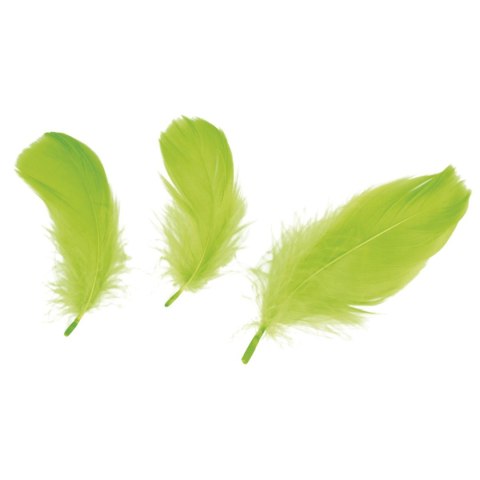 Titanum Piórka Craft-Fun Series limonka Titanum