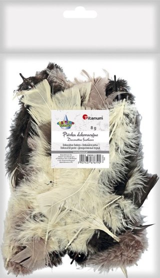 Titanum Piórka Craft-Fun Series mix Titanum (16079F)