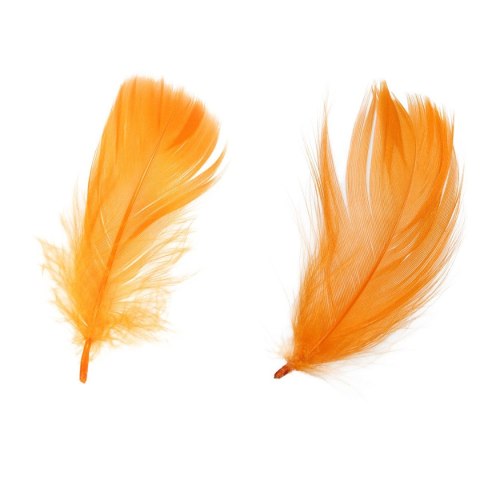 Titanum Piórka Craft-Fun Series pomarańczowy Titanum