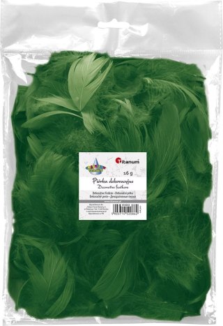 Titanum Piórka Craft-Fun Series zielony ciemny Titanum