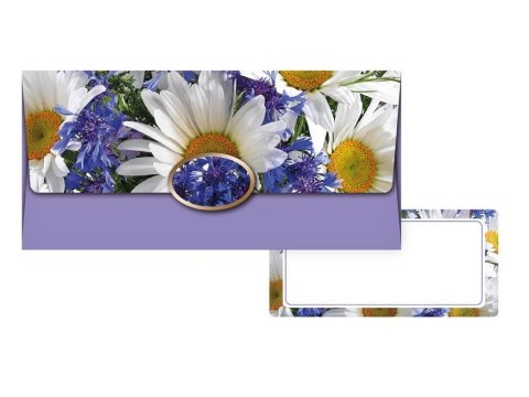 Koperta specjalnego przeznaczenia na pieniądze [mm:] 180x85 (5560081)