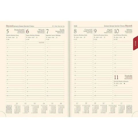 Lucrum Kalendarz książkowy (terminarz) Vivella terminarz B5 Lucrum (51T-V)