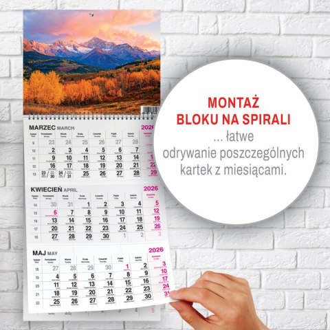 Press Kalendarz ścienny GÓRY 310mm x 790mm Press