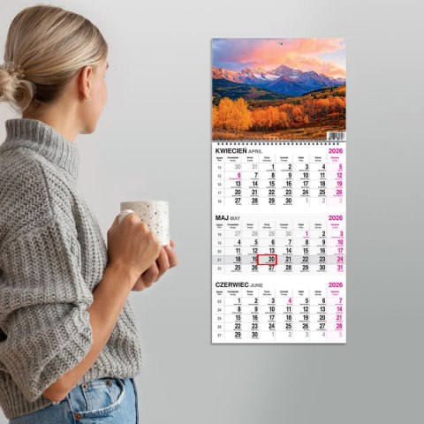 Press Kalendarz ścienny GÓRY 310mm x 790mm Press