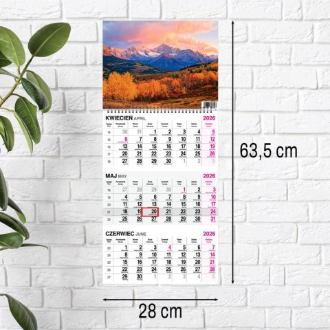Press Kalendarz ścienny GÓRY 310mm x 790mm Press